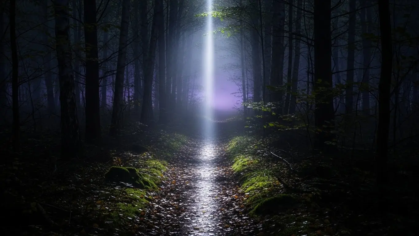 A narrow forest path lit by a beam of moonlight cutting through darkness like a silver blade